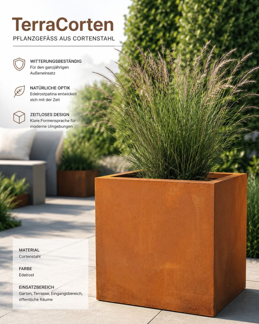 Large Product Image